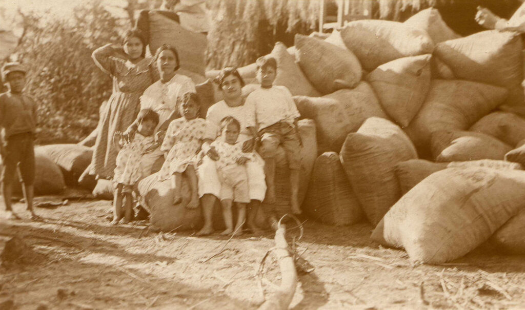 Moradores de Campanário e sacos de erva-mate da Companhia Mate Laranjeira