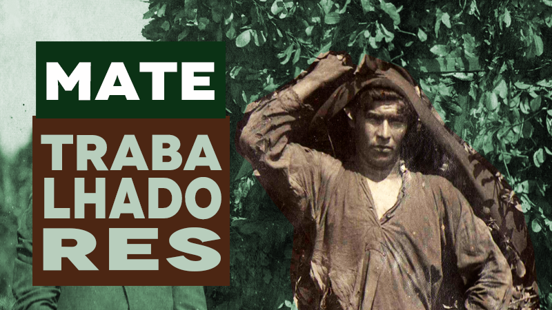 A erva-mate e seus trabalhadores