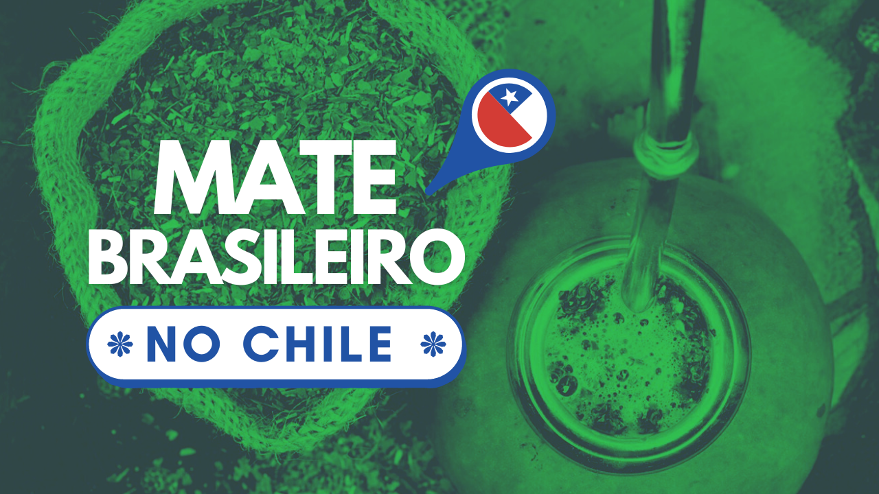 O Chile e a erva-mate