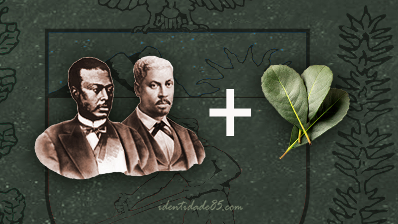 Os irmãos Rebouças, o Paraná e a erva-mate