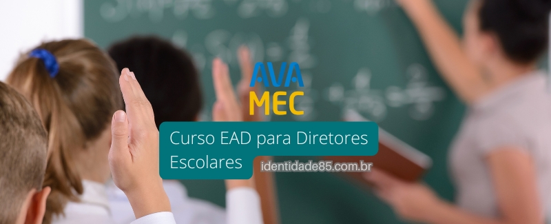 Curso EAD para Diretores Escolares